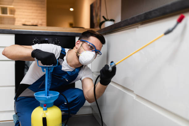 Best Affordable Pest Control Services  in Harrisburg, OR