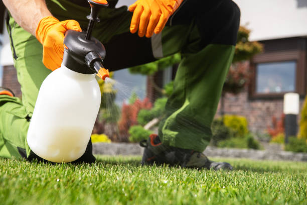 Best Emergency Pest Control  in Harrisburg, OR