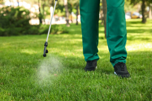 Best Local Pest Control Services  in Harrisburg, OR