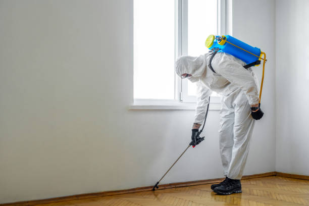 Best Ant Control Services  in Harrisburg, OR