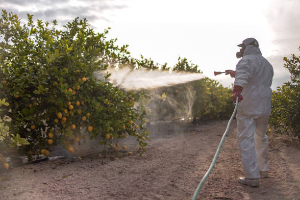 Best Bed Bug Extermination  in Harrisburg, OR