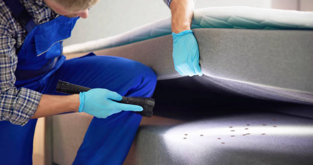 Best Pest Inspection Near Me  in Harrisburg, OR