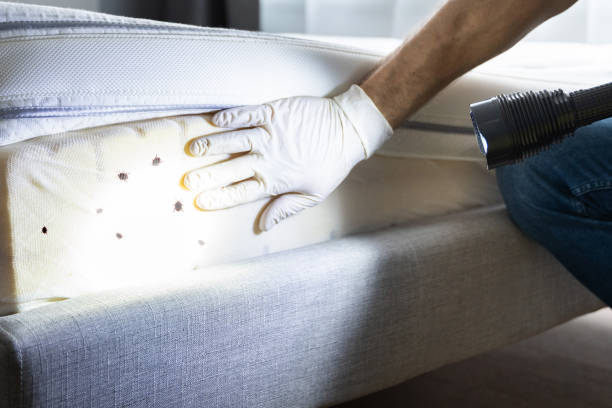 Pest Control Cost in Harrisburg, OR