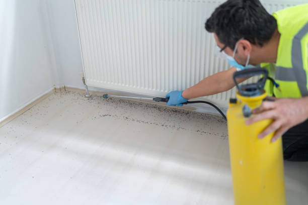 Professional Pest Control in Harrisburg, OR