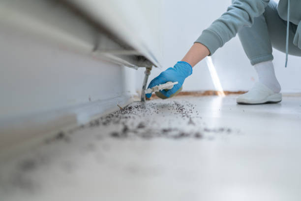 Pest Control for Restaurants in Harrisburg, OR