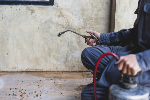 Best Rat Extermination Near Me  in Harrisburg, OR